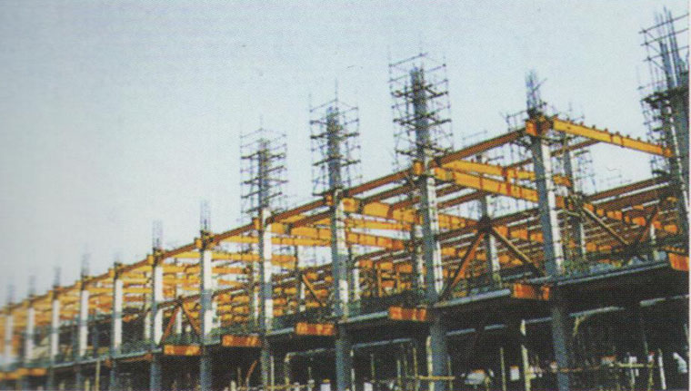 �����Q�����̰���
�������ڣ�2011-12-03 11:07:10
��[�Δ���2293