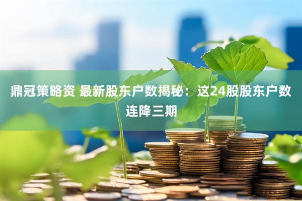 鼎冠策略资 最新股东户数揭秘：这24股股东户数连降三期
