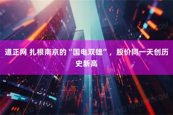 道正网 扎根南京的“国电双雄”，股价同一天创历史新高