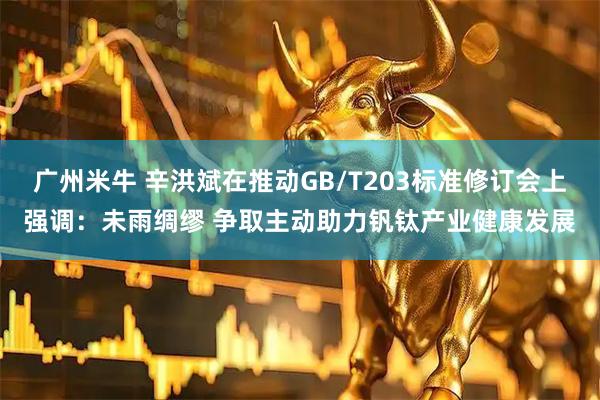 广州米牛 辛洪斌在推动GB/T203标准修订会上强调：未雨绸缪 争取主动助力钒钛产业健康发展