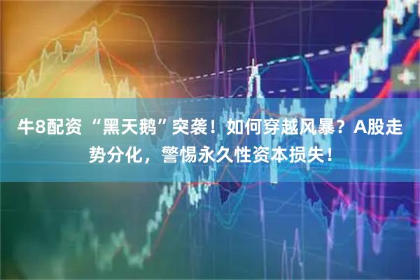 牛8配资 “黑天鹅”突袭！如何穿越风暴？A股走势分化，警惕永久性资本损失！