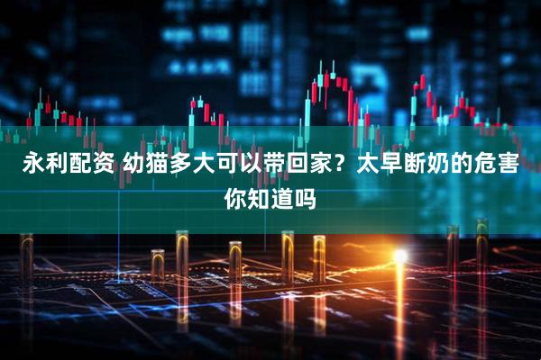 永利配资 幼猫多大可以带回家？太早断奶的危害你知道吗
