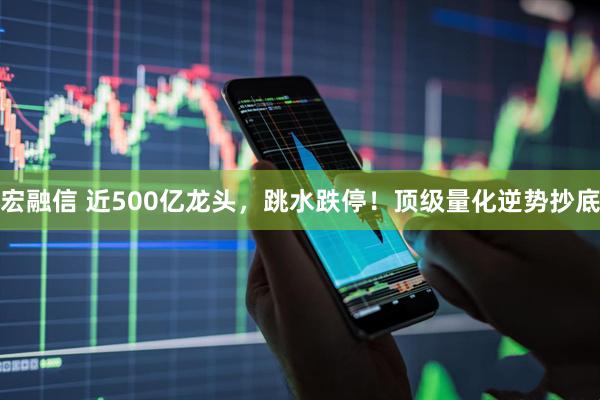 宏融信 近500亿龙头，跳水跌停！顶级量化逆势抄底