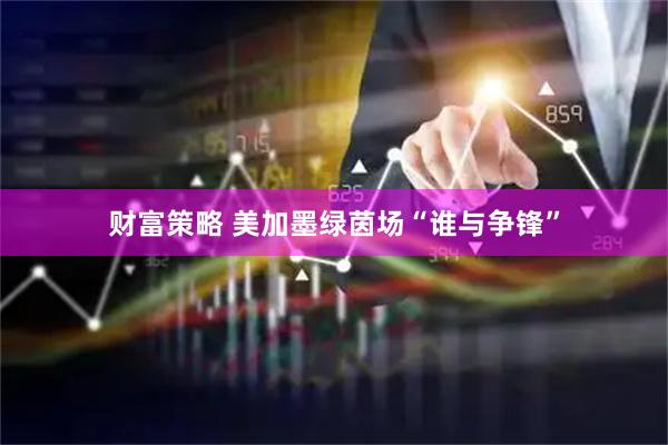 财富策略 美加墨绿茵场“谁与争锋”
