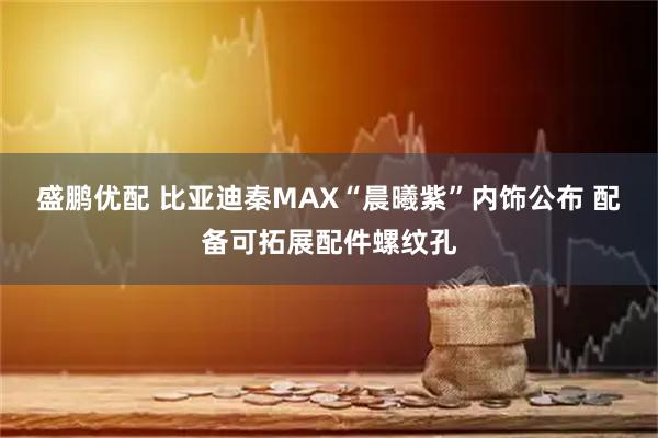 盛鹏优配 比亚迪秦MAX“晨曦紫”内饰公布 配备可拓展配件螺纹孔